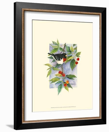 Red-Breasted Grosbeak-Janet Mandel-Framed Art Print