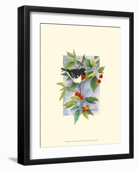 Red-Breasted Grosbeak-Janet Mandel-Framed Art Print