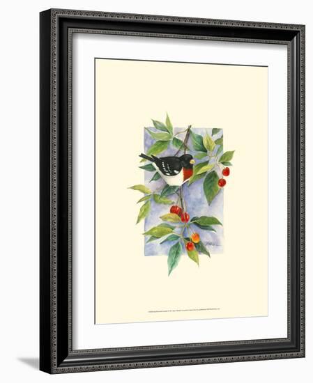 Red-Breasted Grosbeak-Janet Mandel-Framed Art Print