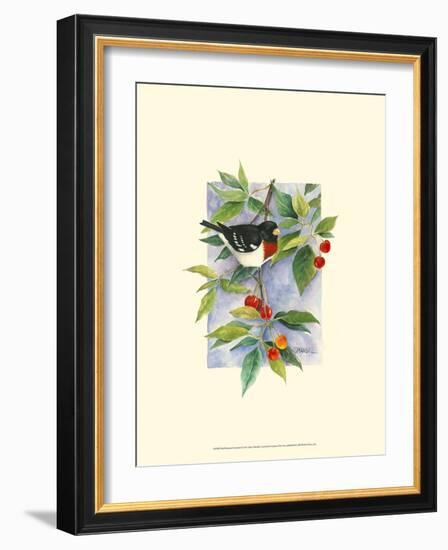 Red-Breasted Grosbeak-Janet Mandel-Framed Art Print