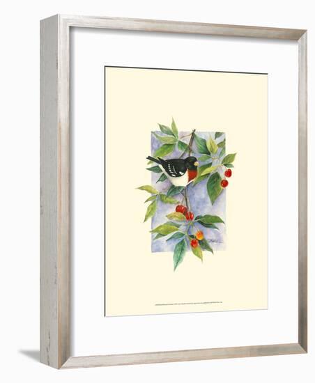 Red-Breasted Grosbeak-Janet Mandel-Framed Art Print