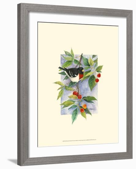 Red-Breasted Grosbeak-Janet Mandel-Framed Art Print