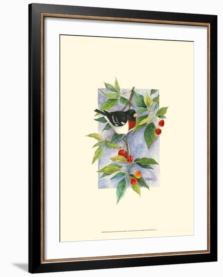 Red-Breasted Grosbeak-Janet Mandel-Framed Art Print