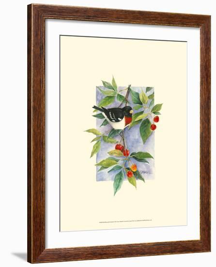 Red-Breasted Grosbeak-Janet Mandel-Framed Art Print