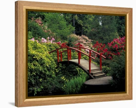 Red Bridge in Springtime, Koybota Gardens, Seattle, Washington, USA-Darrell Gulin-Framed Premier Image Canvas