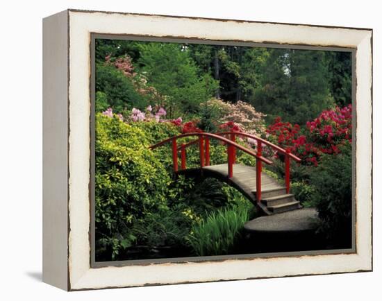 Red Bridge in Springtime, Koybota Gardens, Seattle, Washington, USA-Darrell Gulin-Framed Premier Image Canvas