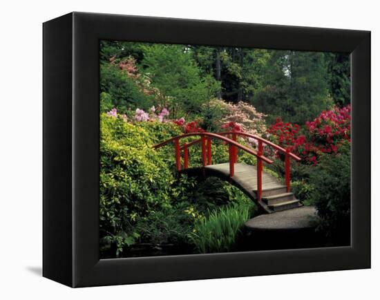 Red Bridge in Springtime, Koybota Gardens, Seattle, Washington, USA-Darrell Gulin-Framed Premier Image Canvas