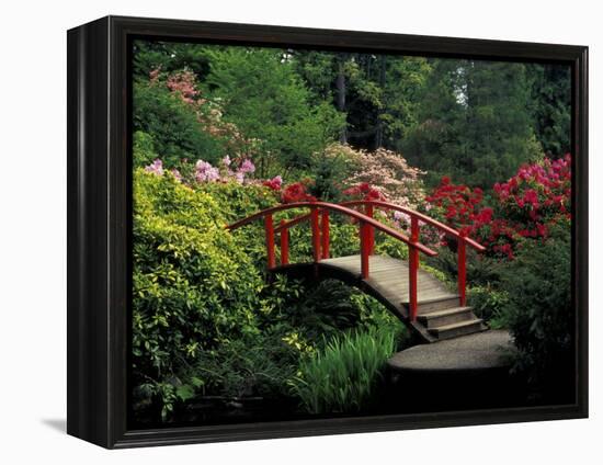 Red Bridge in Springtime, Koybota Gardens, Seattle, Washington, USA-Darrell Gulin-Framed Premier Image Canvas