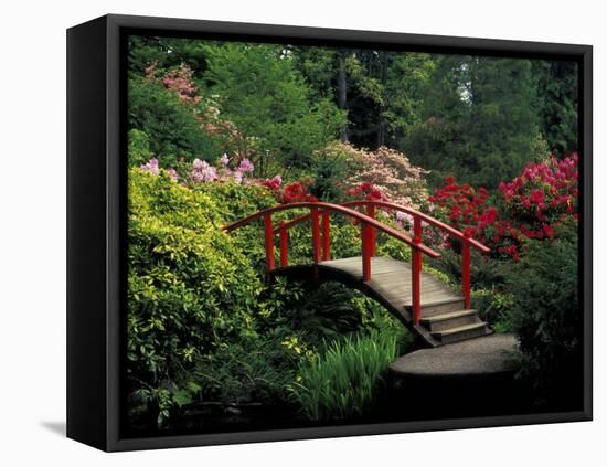 Red Bridge in Springtime, Koybota Gardens, Seattle, Washington, USA-Darrell Gulin-Framed Premier Image Canvas