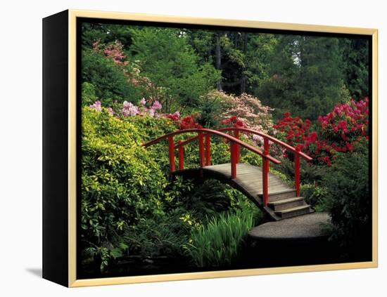 Red Bridge in Springtime, Koybota Gardens, Seattle, Washington, USA-Darrell Gulin-Framed Premier Image Canvas