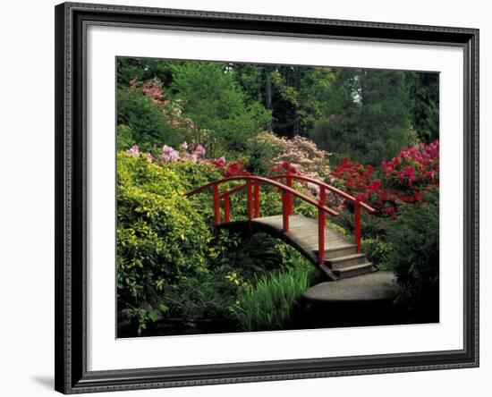 Red Bridge in Springtime, Koybota Gardens, Seattle, Washington, USA-Darrell Gulin-Framed Photographic Print