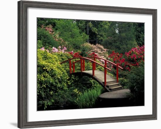 Red Bridge in Springtime, Koybota Gardens, Seattle, Washington, USA-Darrell Gulin-Framed Photographic Print