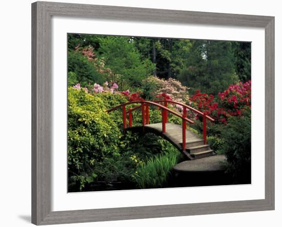 Red Bridge in Springtime, Koybota Gardens, Seattle, Washington, USA-Darrell Gulin-Framed Photographic Print