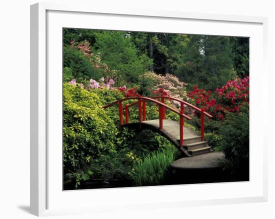 Red Bridge in Springtime, Koybota Gardens, Seattle, Washington, USA-Darrell Gulin-Framed Photographic Print