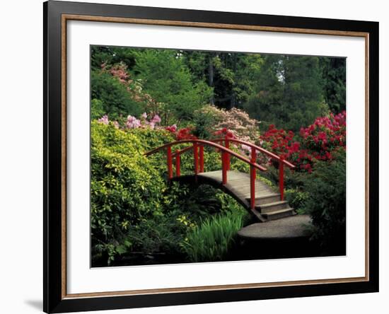 Red Bridge in Springtime, Koybota Gardens, Seattle, Washington, USA-Darrell Gulin-Framed Photographic Print