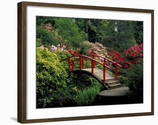 Red Bridge in Springtime, Koybota Gardens, Seattle, Washington, USA-Darrell Gulin-Framed Photographic Print