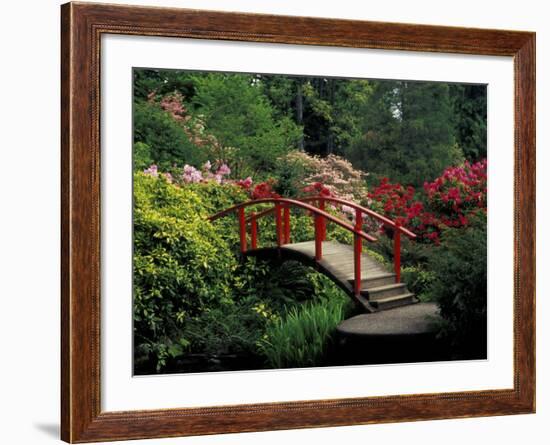 Red Bridge in Springtime, Koybota Gardens, Seattle, Washington, USA-Darrell Gulin-Framed Photographic Print