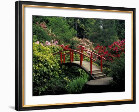 Red Bridge in Springtime, Koybota Gardens, Seattle, Washington, USA-Darrell Gulin-Framed Photographic Print