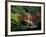 Red Bridge in Springtime, Koybota Gardens, Seattle, Washington, USA-Darrell Gulin-Framed Photographic Print