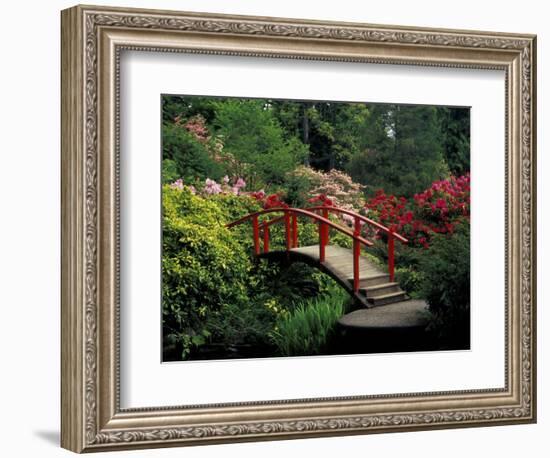 Red Bridge in Springtime, Koybota Gardens, Seattle, Washington, USA-Darrell Gulin-Framed Photographic Print