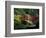 Red Bridge in Springtime, Koybota Gardens, Seattle, Washington, USA-Darrell Gulin-Framed Photographic Print