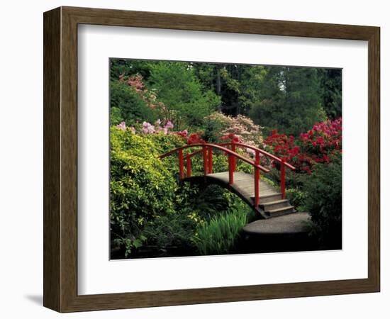 Red Bridge in Springtime, Koybota Gardens, Seattle, Washington, USA-Darrell Gulin-Framed Photographic Print