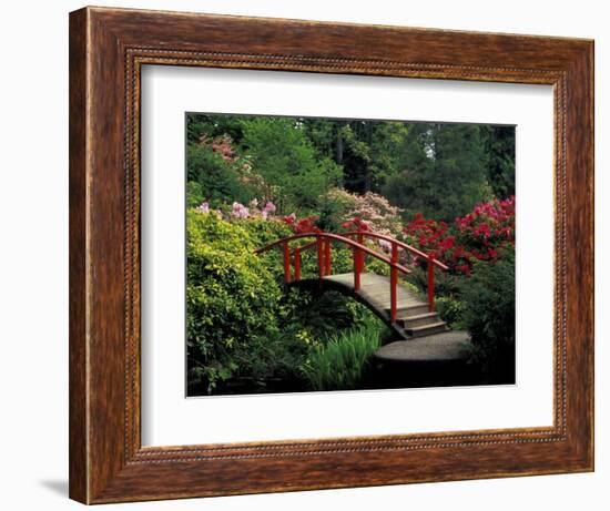 Red Bridge in Springtime, Koybota Gardens, Seattle, Washington, USA-Darrell Gulin-Framed Photographic Print