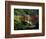 Red Bridge in Springtime, Koybota Gardens, Seattle, Washington, USA-Darrell Gulin-Framed Photographic Print