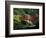 Red Bridge in Springtime, Koybota Gardens, Seattle, Washington, USA-Darrell Gulin-Framed Photographic Print