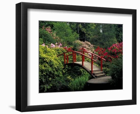 Red Bridge in Springtime, Koybota Gardens, Seattle, Washington, USA-Darrell Gulin-Framed Photographic Print