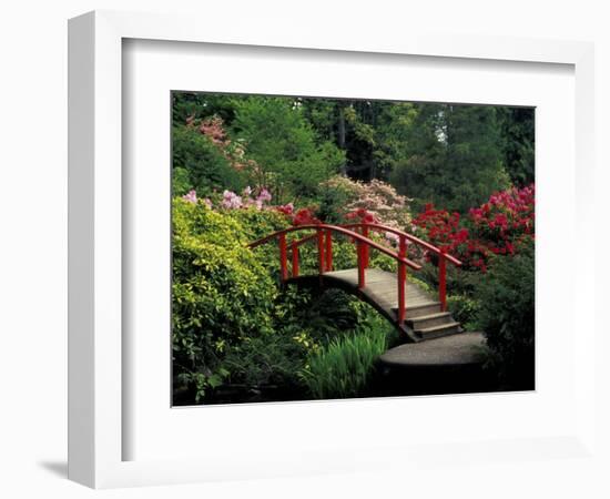 Red Bridge in Springtime, Koybota Gardens, Seattle, Washington, USA-Darrell Gulin-Framed Photographic Print