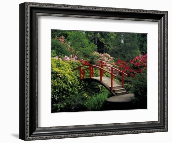 Red Bridge in Springtime, Koybota Gardens, Seattle, Washington, USA-Darrell Gulin-Framed Photographic Print