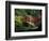 Red Bridge in Springtime, Koybota Gardens, Seattle, Washington, USA-Darrell Gulin-Framed Photographic Print