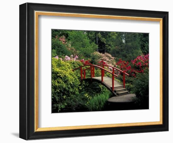 Red Bridge in Springtime, Koybota Gardens, Seattle, Washington, USA-Darrell Gulin-Framed Photographic Print