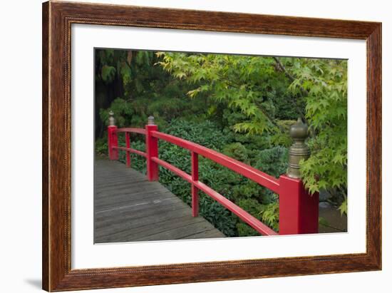 Red Bridge, Kubota Japanese Garden, Renton, Washington, USA-Merrill Images-Framed Photographic Print