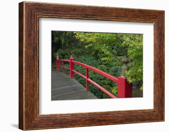 Red Bridge, Kubota Japanese Garden, Renton, Washington, USA-Merrill Images-Framed Photographic Print