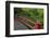 Red Bridge, Kubota Japanese Garden, Renton, Washington, USA-Merrill Images-Framed Photographic Print