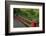 Red Bridge, Kubota Japanese Garden, Renton, Washington, USA-Merrill Images-Framed Photographic Print