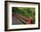 Red Bridge, Kubota Japanese Garden, Renton, Washington, USA-Merrill Images-Framed Photographic Print