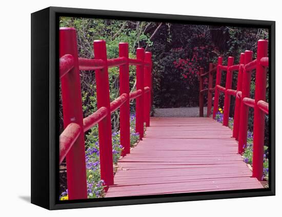 Red Bridge, Magnolia Plantation and Gardens, Charleston, South Carolina, USA-Julie Eggers-Framed Premier Image Canvas