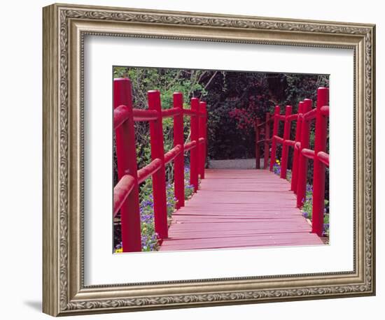 Red Bridge, Magnolia Plantation and Gardens, Charleston, South Carolina, USA-Julie Eggers-Framed Photographic Print