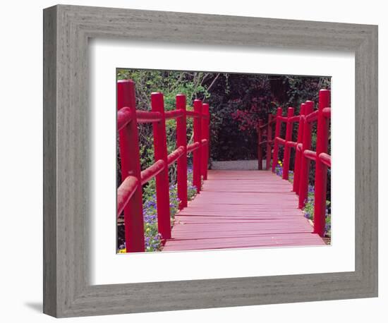 Red Bridge, Magnolia Plantation and Gardens, Charleston, South Carolina, USA-Julie Eggers-Framed Photographic Print