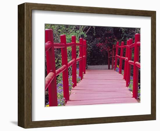 Red Bridge, Magnolia Plantation and Gardens, Charleston, South Carolina, USA-Julie Eggers-Framed Photographic Print