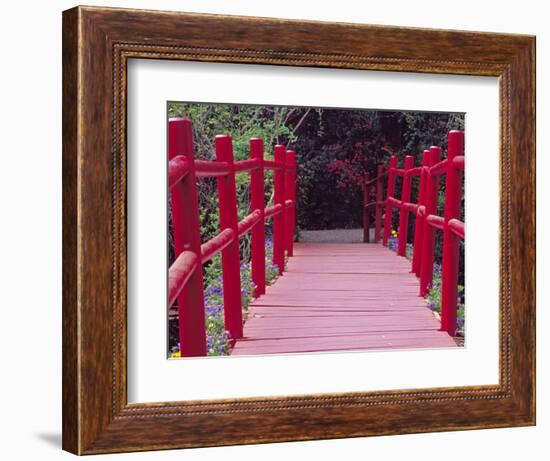 Red Bridge, Magnolia Plantation and Gardens, Charleston, South Carolina, USA-Julie Eggers-Framed Photographic Print