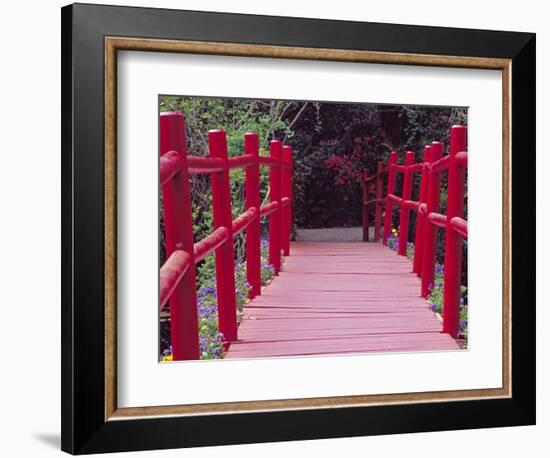 Red Bridge, Magnolia Plantation and Gardens, Charleston, South Carolina, USA-Julie Eggers-Framed Photographic Print