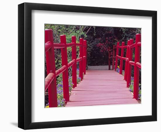 Red Bridge, Magnolia Plantation and Gardens, Charleston, South Carolina, USA-Julie Eggers-Framed Photographic Print
