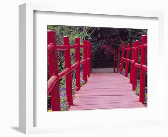 Red Bridge, Magnolia Plantation and Gardens, Charleston, South Carolina, USA-Julie Eggers-Framed Photographic Print