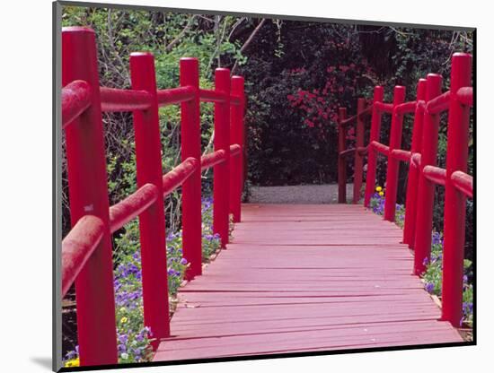 Red Bridge, Magnolia Plantation and Gardens, Charleston, South Carolina, USA-Julie Eggers-Mounted Photographic Print