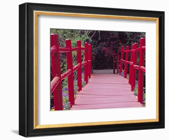 Red Bridge, Magnolia Plantation and Gardens, Charleston, South Carolina, USA-Julie Eggers-Framed Photographic Print