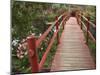 Red Bridge Over Pond in Magnolia Plantation, Charleston, South Carolina, USA-Adam Jones-Mounted Photographic Print